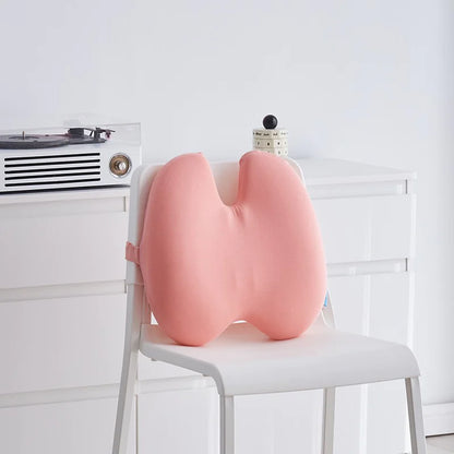 BackEase Lumbar Pillow